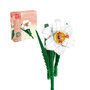 Mold King 24008 Narcissus